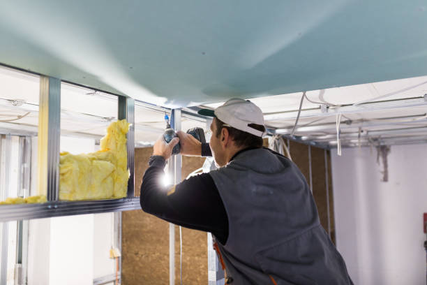 Best DIY Insulation Kits and Guidance in Tyhee, ID