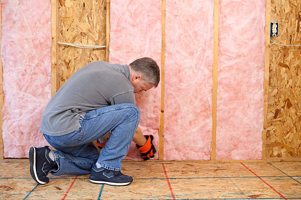 Best Commercial Insulation in Tyhee, ID
